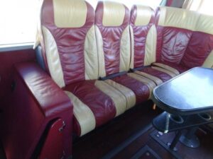 vanhool-vip-t917-acron_(12)