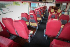 vanhool-vip-t917-acron_(3)