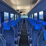 flucher-man-lions_02