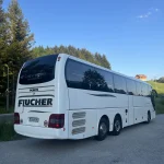 flucher-man-lions_08