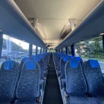 flucher-man-lions_12