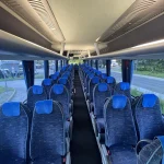 flucher-man-lions_13